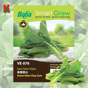 "BABA"  VEGETABLE  FRUIT SEEDS  VE-076  10GM蔬菜瓜果种子