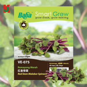 "BABA"  VEGETABLE  FRUIT SEEDS  VE-075  10GM蔬菜瓜果种子