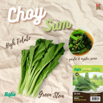 "BABA"  VEGETABLE  FRUIT SEEDS  VE-076  10GM蔬菜瓜果种子